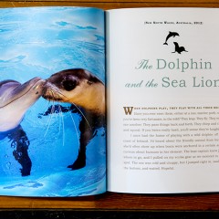 A spread from UNlikely Loves showing a dolphin and a seal kissing